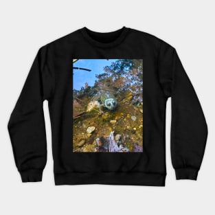 Froggy Crewneck Sweatshirt